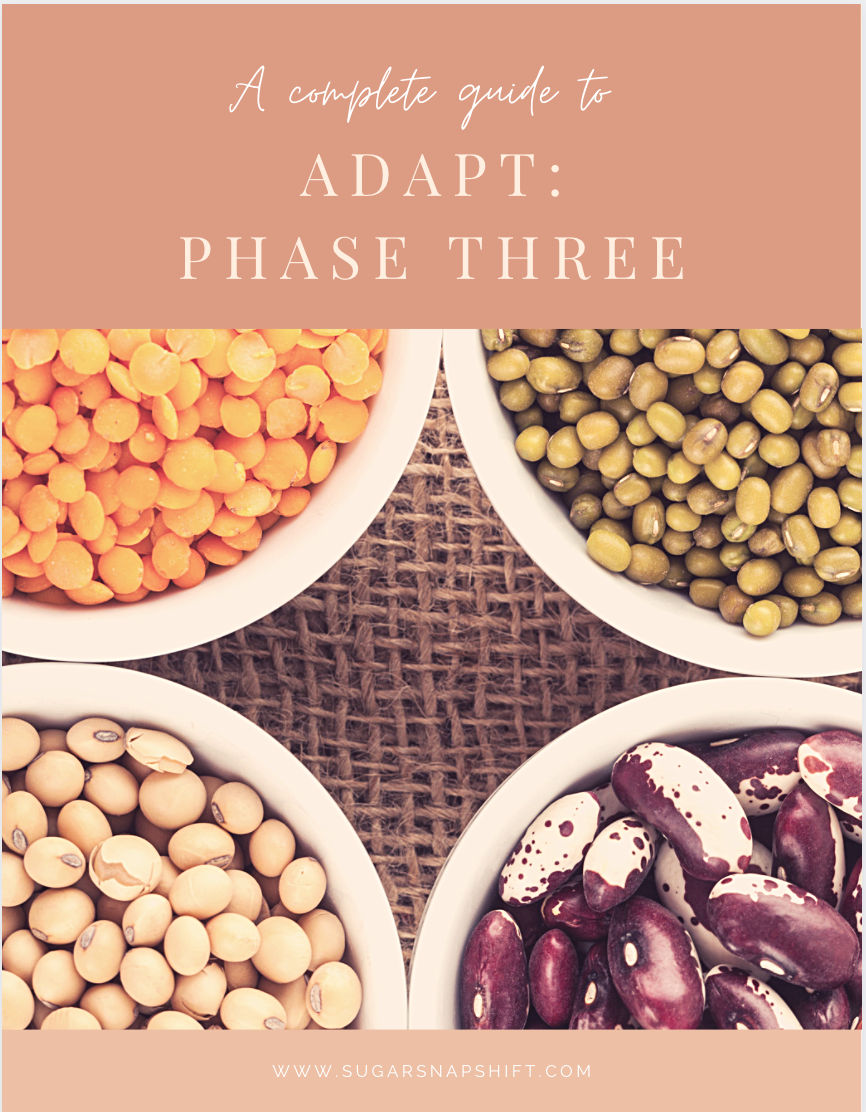 Image of ADAPT booklet- weight loss accountability coaching program
