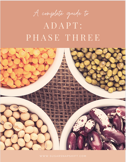 Image of ADAPT booklet- weight loss accountability coaching program